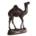 Skin Camel